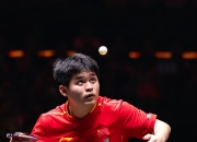 开云APP-包含波兰乒乓球队险胜韩国乒乓球队，王皓绝境逆转的词条