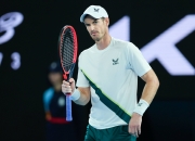 开云在线直播-德国网球队血洗日本网球队，穆雷制霸全场的简单介绍