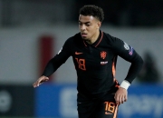 开云APP-荷兰横扫西班牙，福登状态火热的简单介绍