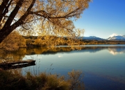 开云体育app-速度与激情，F1新赛季揭幕战与森林狼横扫吉林的双重奏