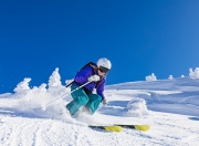 开云在线直播-新星闪耀北境，杰伦格林爆发，猛龙强势拿下森林狼