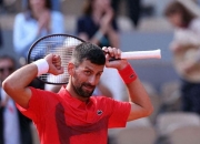 开云体育官网-法国网球队轻取美国网球队，德约科维奇关键制胜的简单介绍