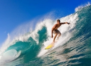 开云在线直播-武切维奇彻底打爆防线，黄蜂速胜奇才