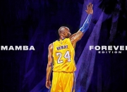 开云体育下载-拉沃尔杯完胜澳网？德约科维奇状态火热背后的网球哲学