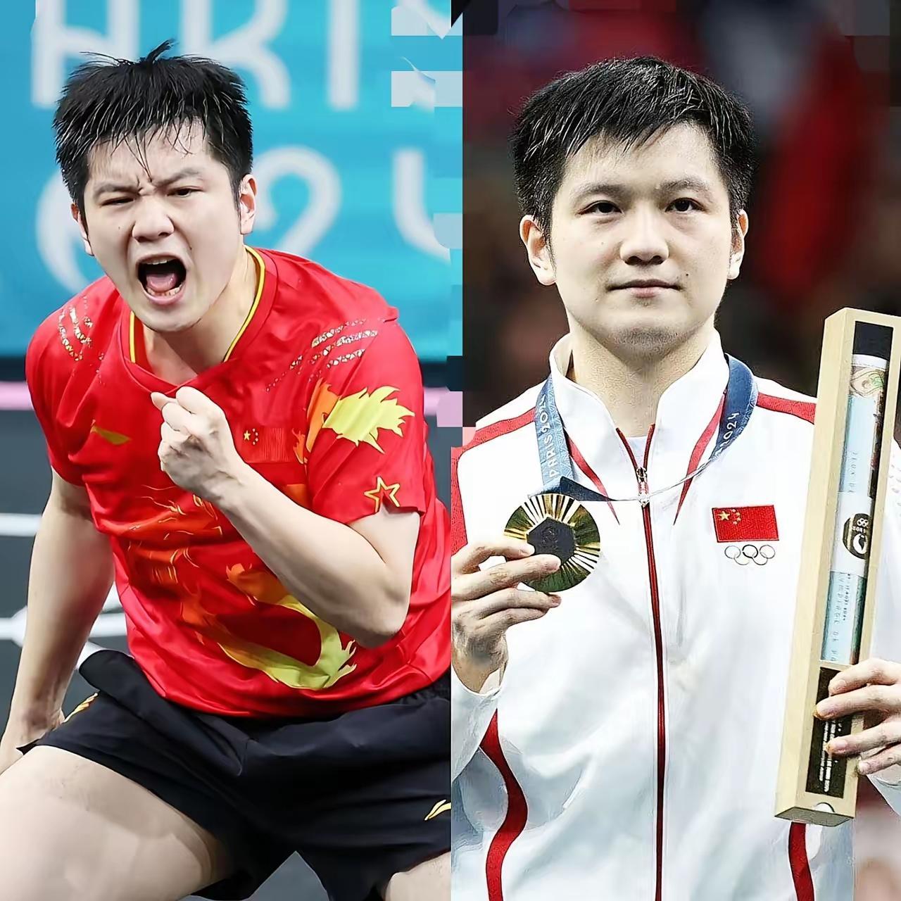 关于法国队逆转葡萄牙队，樊振东惊艳四座的信息