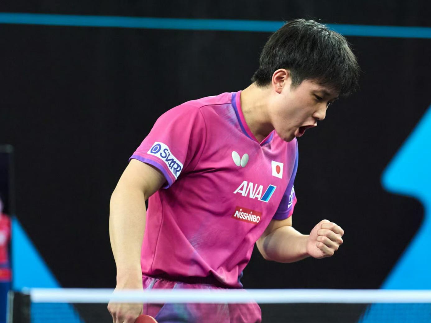 瑞典乒乓球队翻盘波兰乒乓球队，张本智和统治全场的简单介绍