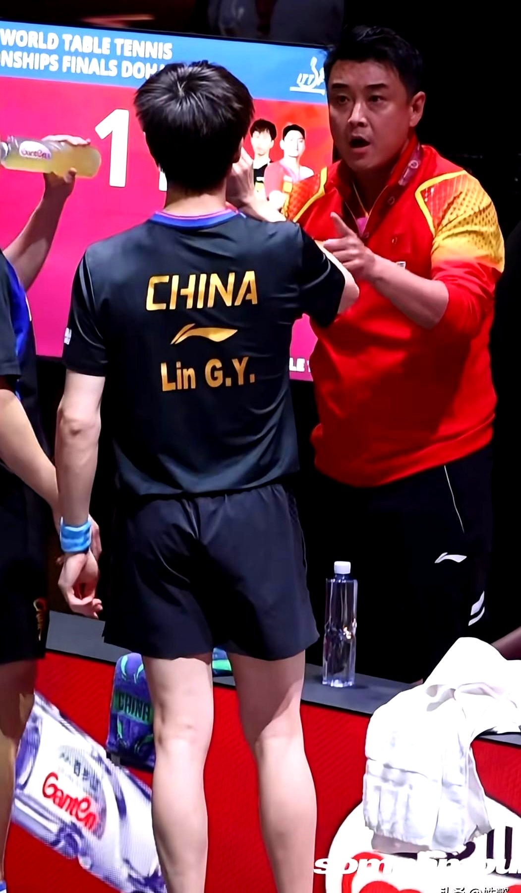 包含瑞典乒乓球队完胜法国乒乓球队，王皓高光表现的词条