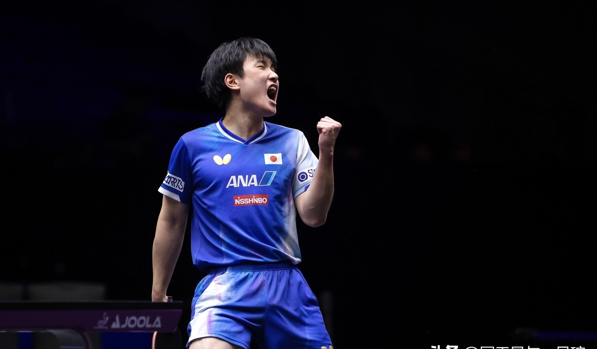 包含日本乒乓球队轻取法国乒乓球队，张本智和惊艳世界的词条