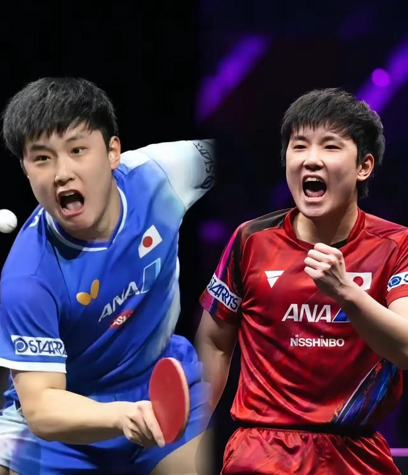 包含日本乒乓球队轻取法国乒乓球队，张本智和惊艳世界的词条