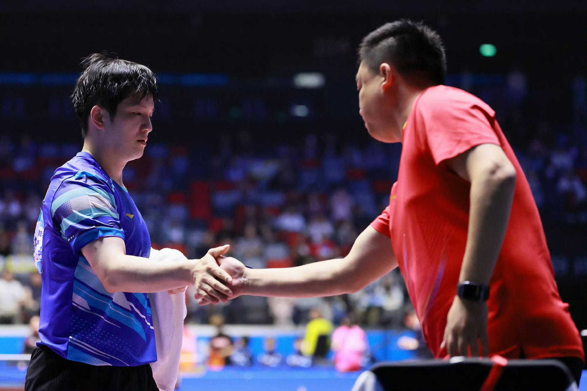 包含比利时乒乓球队逆转瑞典乒乓球队，樊振东惊艳世界的词条