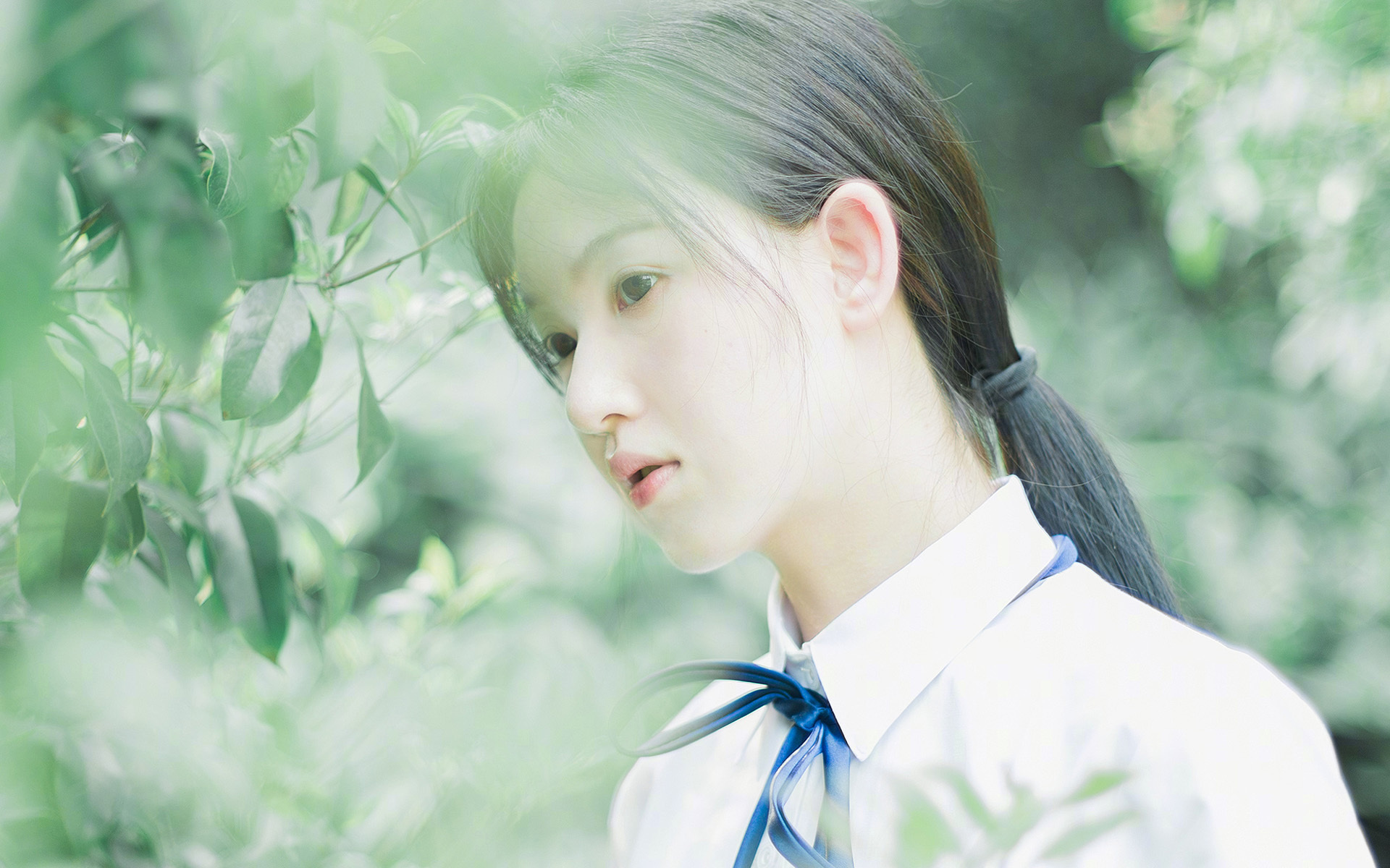 浓眉生涯之夜难救主，尼克斯火力全开压制国王